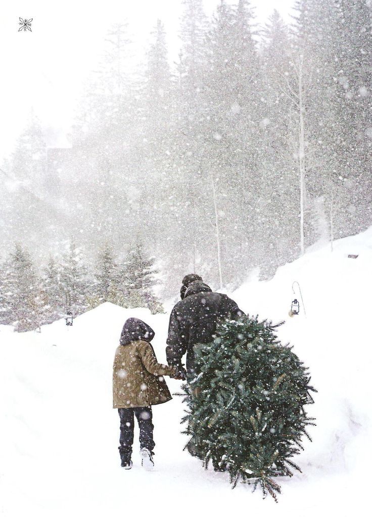 17 фотографий, которые доказывают, что зима - прекрасное время года