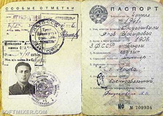 Как выглядели паспорта знаменитых людей 