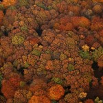 Осень в Германии: пейзажи, что захватывают дух