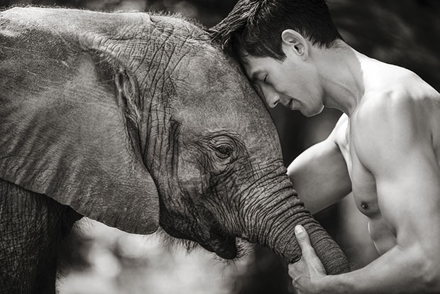 Потрясающие фотографии азиатских моделей рядом с животными 