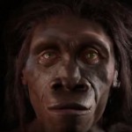 6 миллионов лет за 1 минуту: как изменялось лицо человека