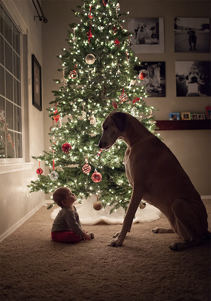 11 трогательных фотографий, доказывающих, что всем детям нужны домашние животные