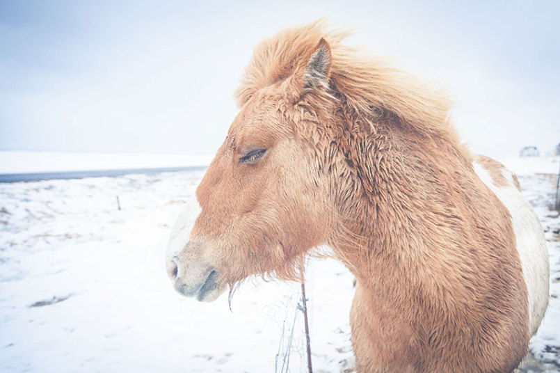 Безупречно красивые фотографии Исландии, от которых захватывает дух 