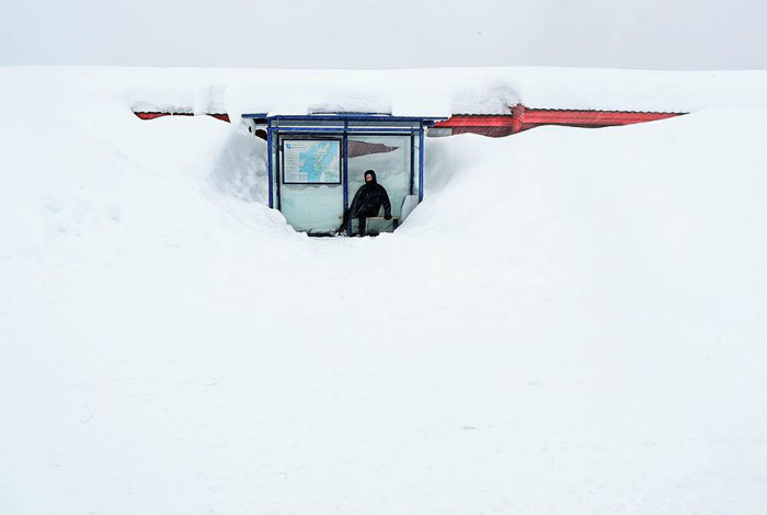 9 курьезных снимков о казусах, которые возможны только зимой
