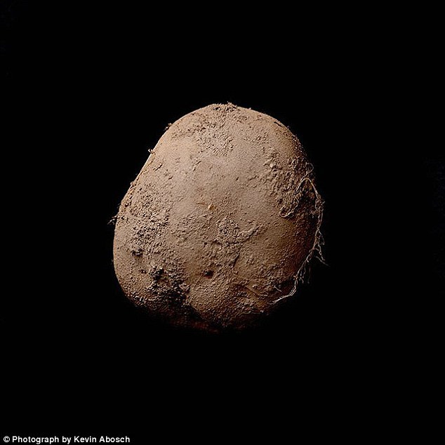 Фотография картофелины, которую продали за миллион евро