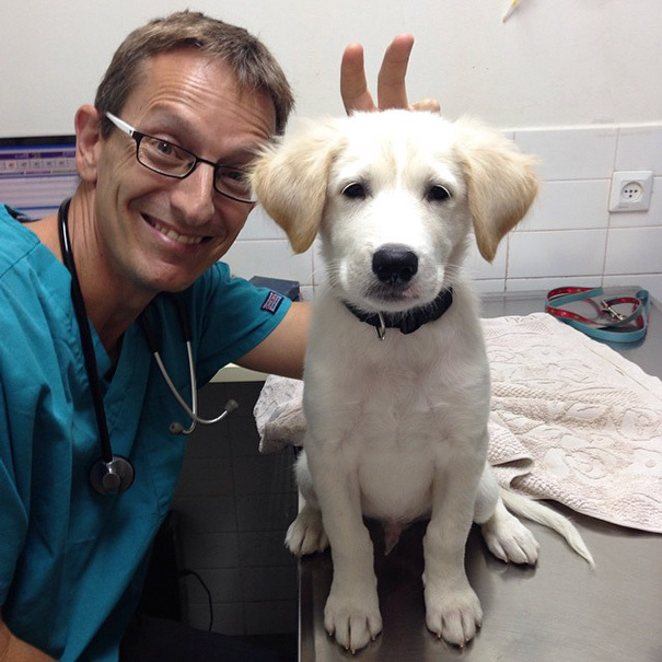15 фотографий, доказывающих, что ветеринар — самая лучшая профессия