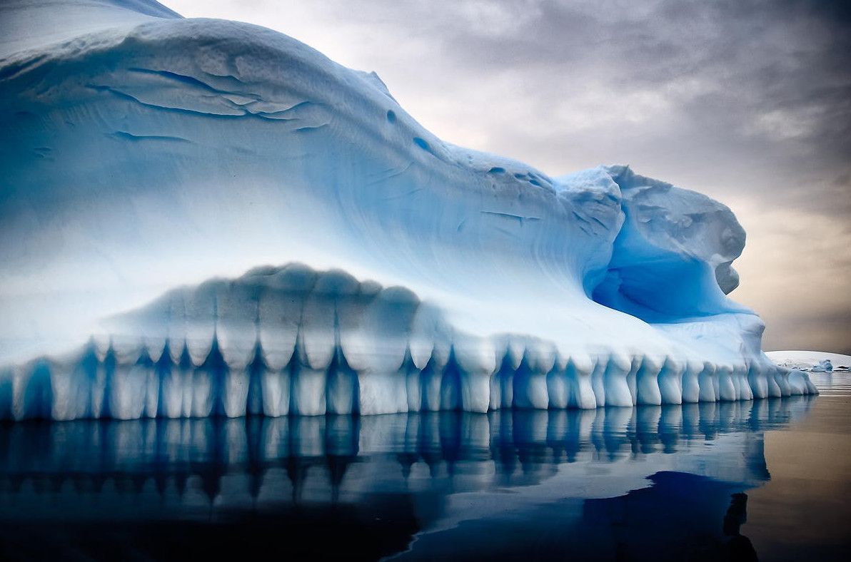 Антарктика: притягательная строгость красоты Севера