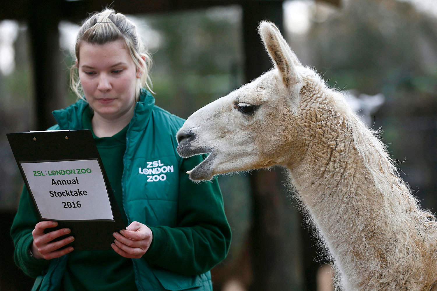 От малого до велика: Лондонский зоопарк представил своих обитателей