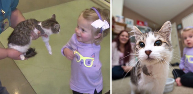 Девочка без руки и трехлапый котенок нашли друг друга