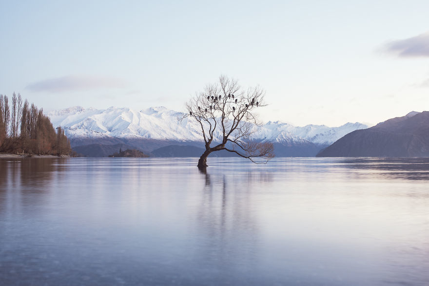 Прогулка по самым красивым местам Новой Зеландии