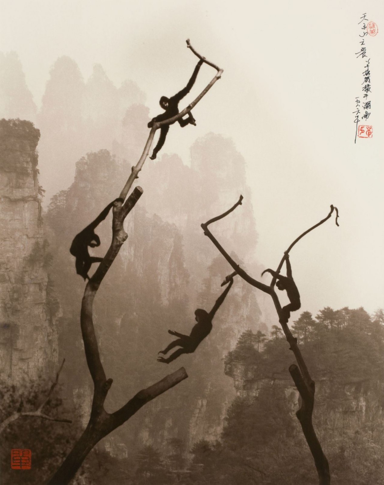 Дон Хонг: искусство безмятежности