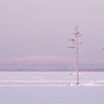 Озеро Куйто: зеркальная дуга в Карельской Тайге