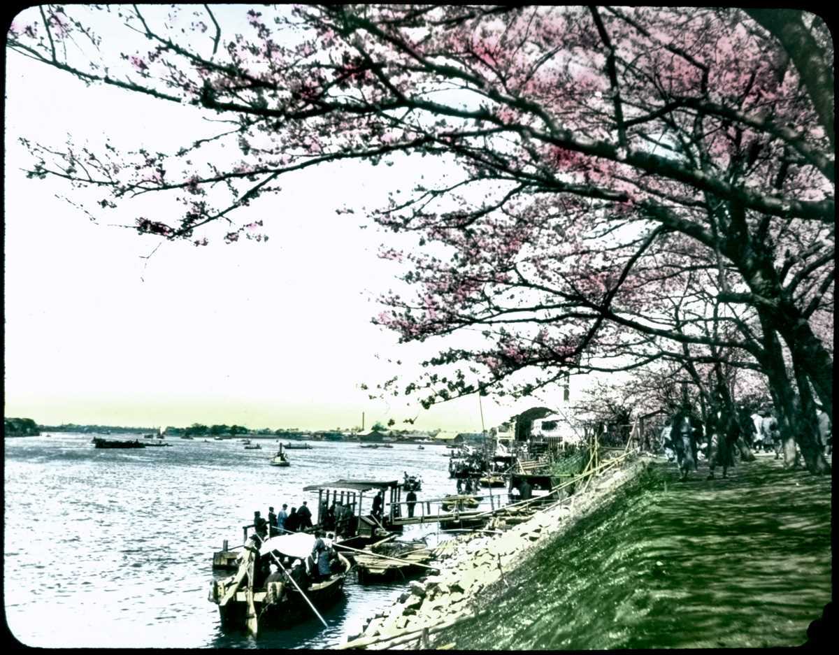 1910 год: Идиллические раскрашенные фотографии Японии периода окончания эпохи Мэйдзи 