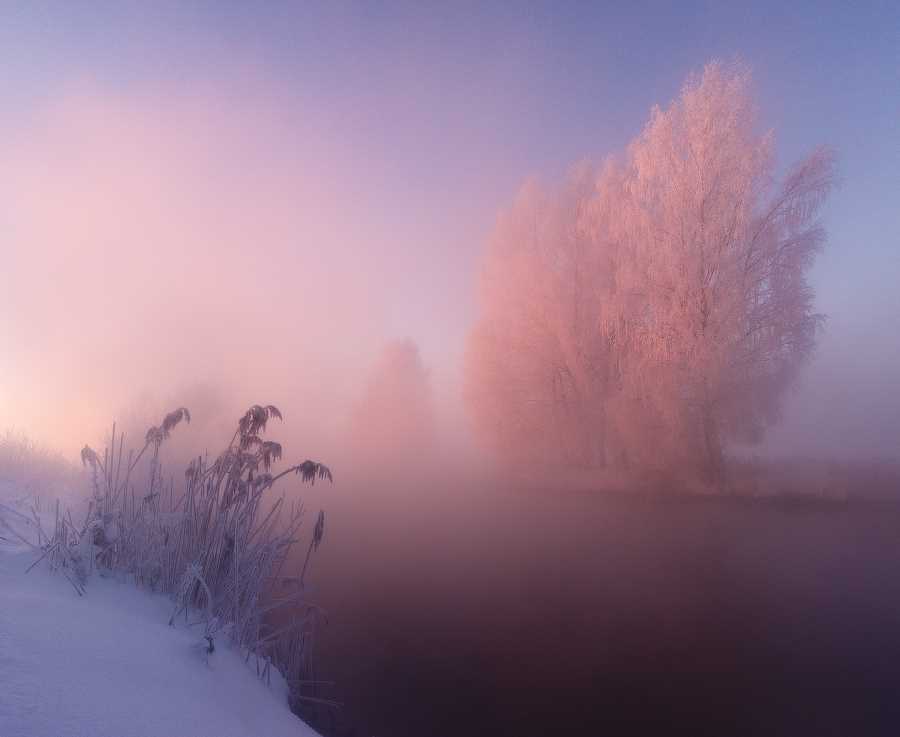 Сказочная красота Беларуси зимой в фотографиях Алексея Угальникова