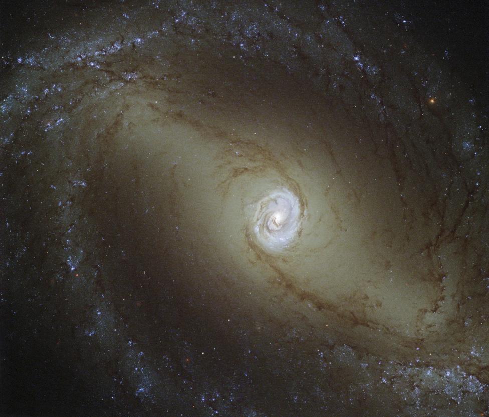 NGC 1433 