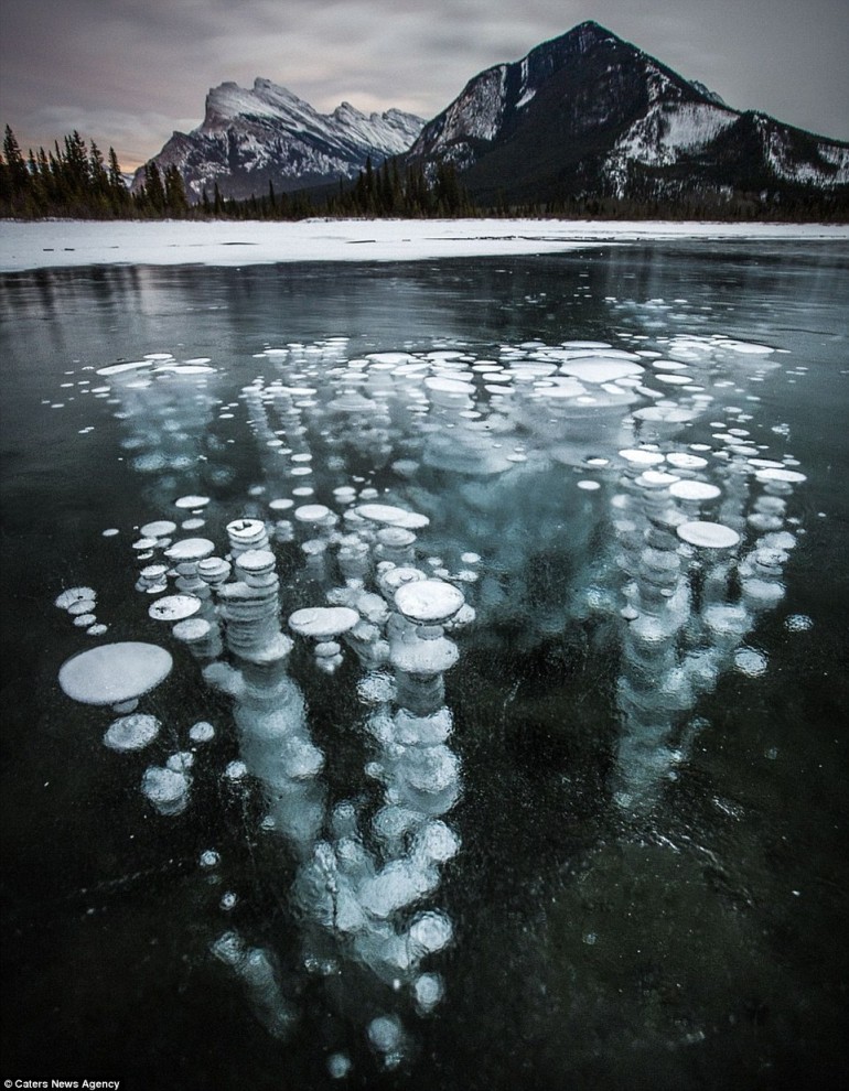 Метановые пузырьки на озёрах Вермилион в Канаде.