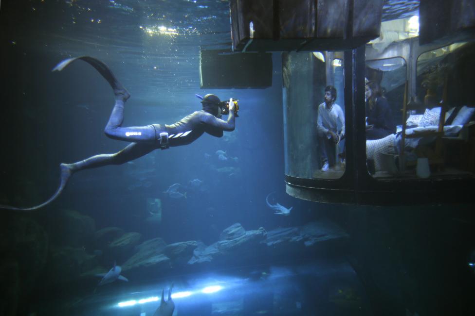 В Париже открылась первая подводная спальня, в которой гости могут спать рядом с акулами