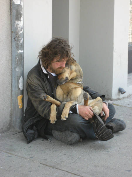 12 трогательных фотографий о преданности собак