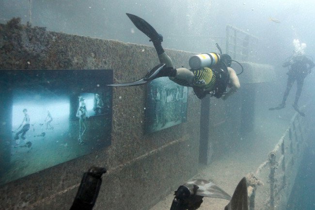 Подводный мир и фотоманипуляции Андреаса Франке