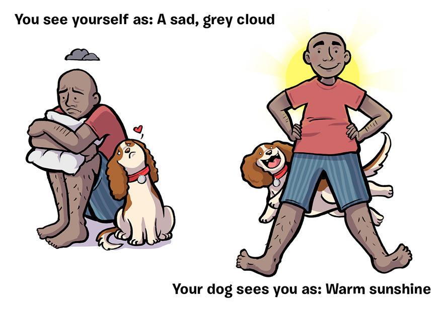 Забавные иллюстрации о том, какими нас видят наши собаки 