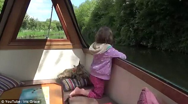 Девочка-аутистка и кошка