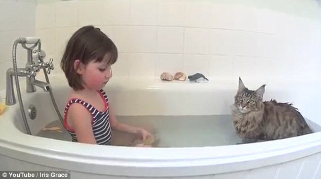 Девочка-аутистка и кошка