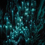 Что это, если не волшебство: звёздное небо в пещерах Новой Зеландии