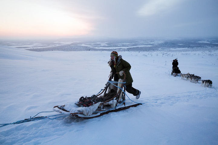 Жизнь в Арктике