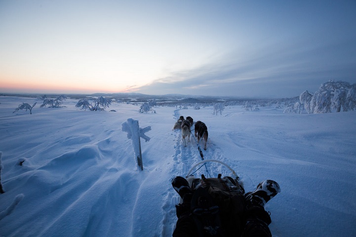 Жизнь в Арктике