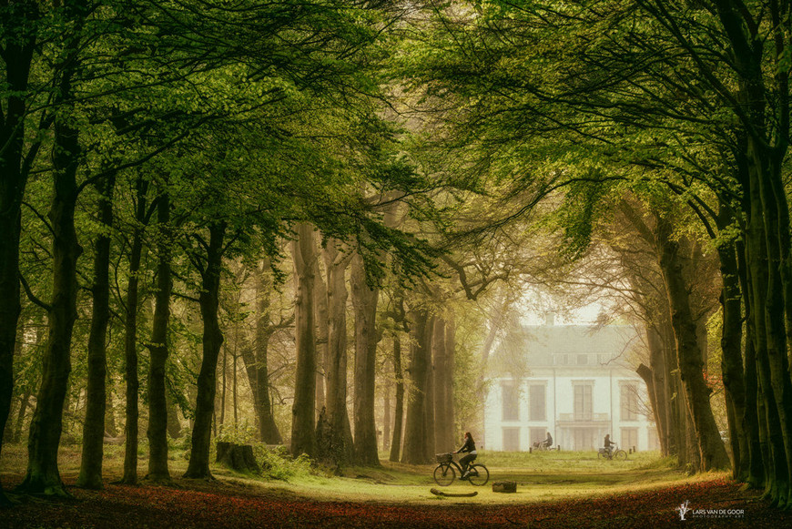 Лесные пейзажи голландского фотографа Ларса ван де Гура 