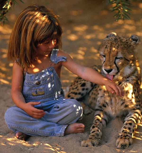 Ребёнок и дикие животные