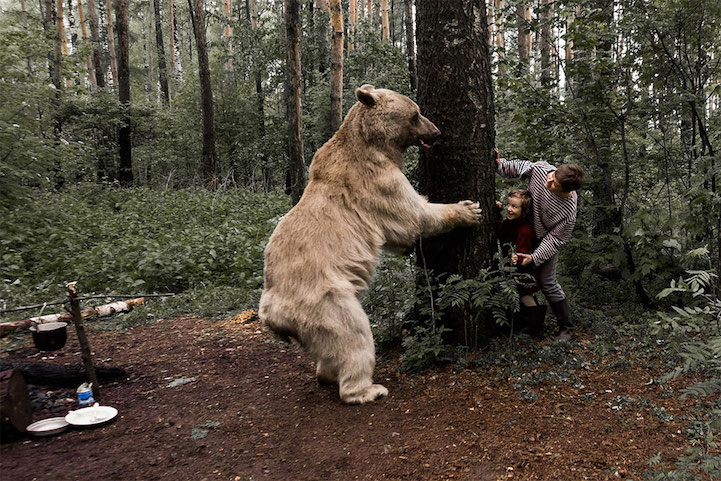 Медведь Степан