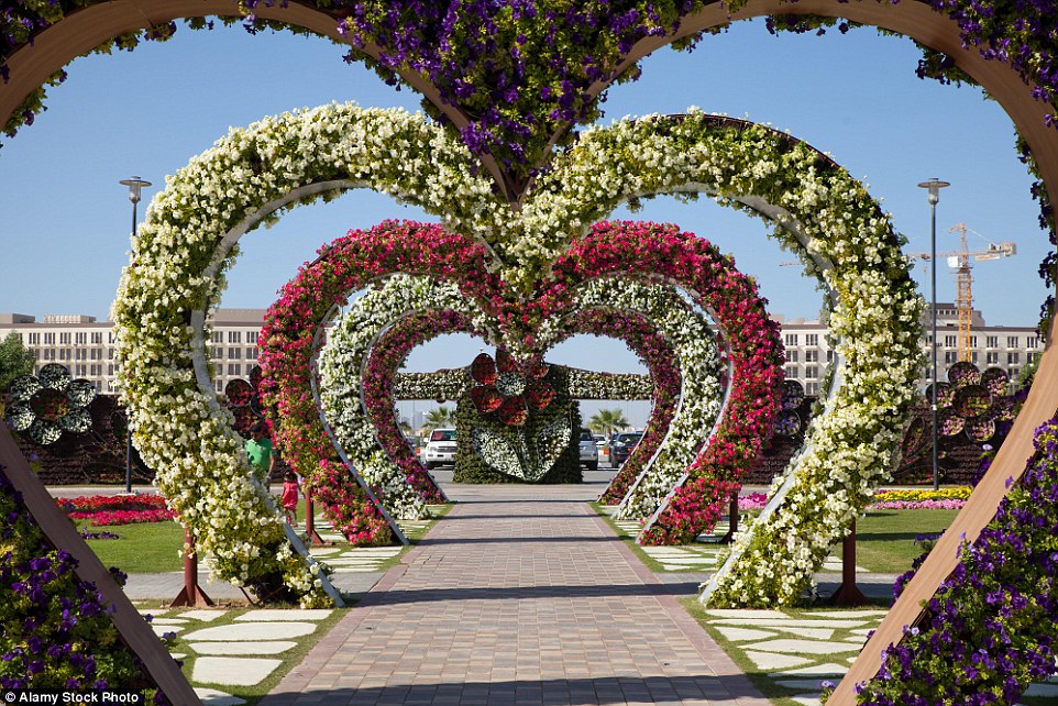 Парк «Сад чудес» в Дубае