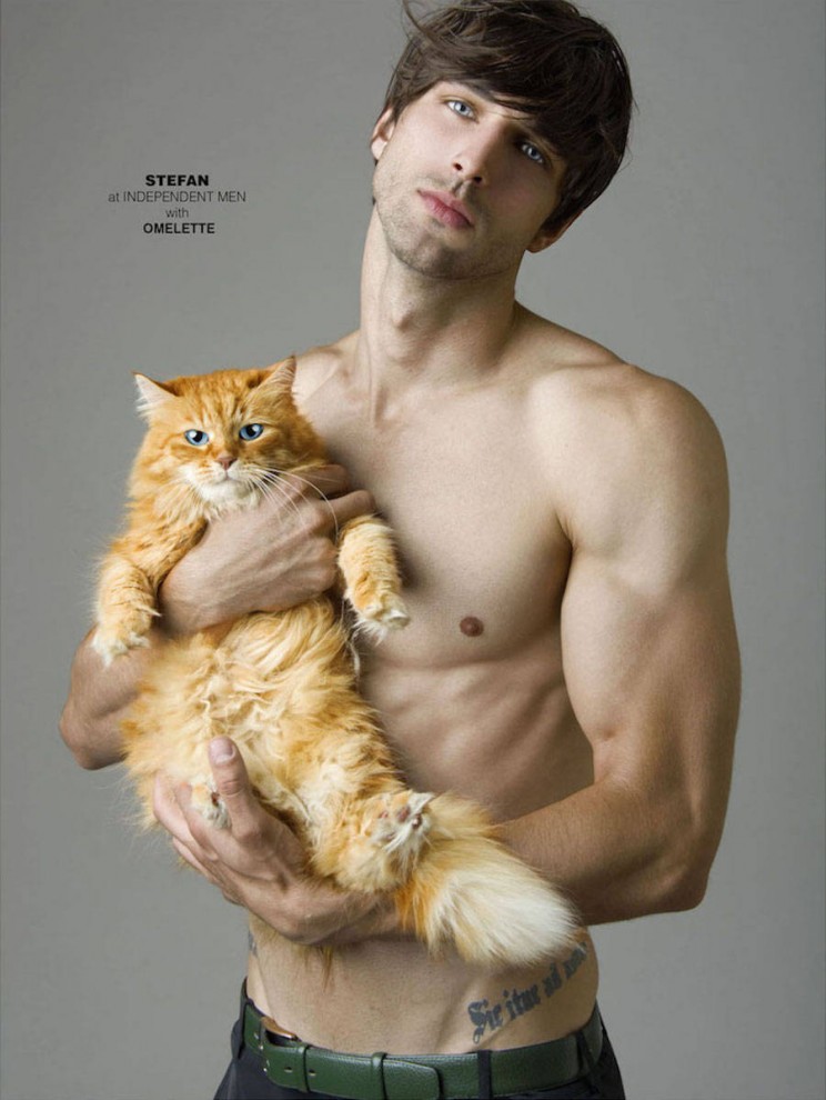 Мужчины и коты 