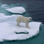 Хрупкая Арктика: путешествие на ледоколе по Северо-Западному проходу