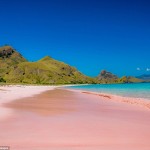 Пляжи с розовым песком: в чём их секрет?