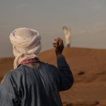 Путешествие по Сахаре: будни пустыни