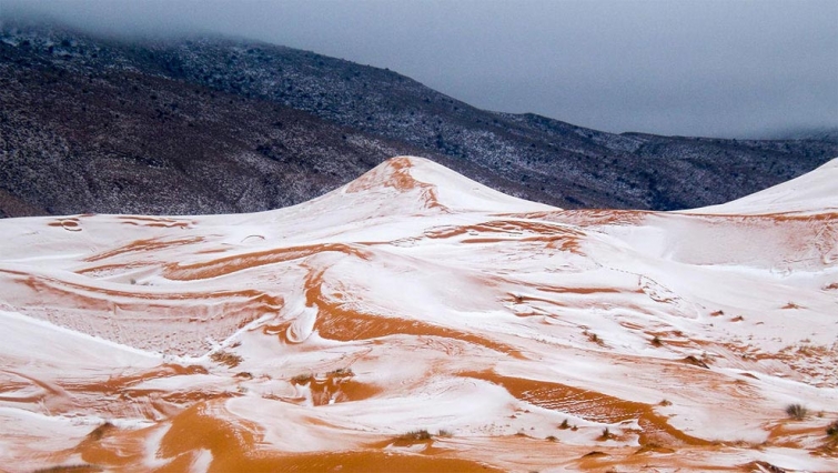 Невероятные фотографии заснеженной пустыни Сахара, в которой впервые за 40 лет выпал снег
