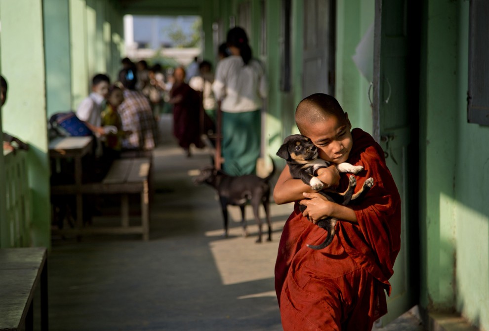Буддистский монах со щенком в школе на окраине Янгона, Мьянма, 18 февраля 2016 года.
