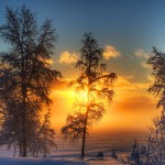25 исключительно красивых фотографий зимы, которые вас согреют