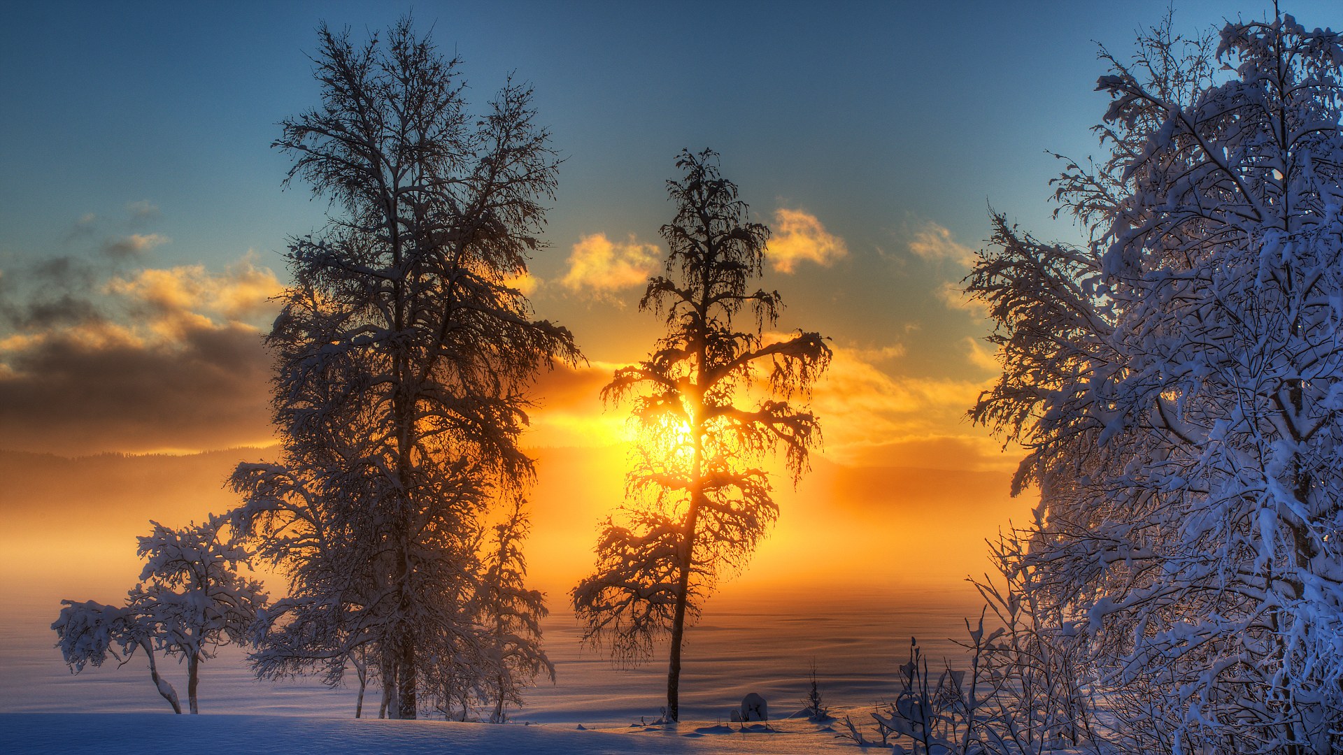 Зимний закат фото