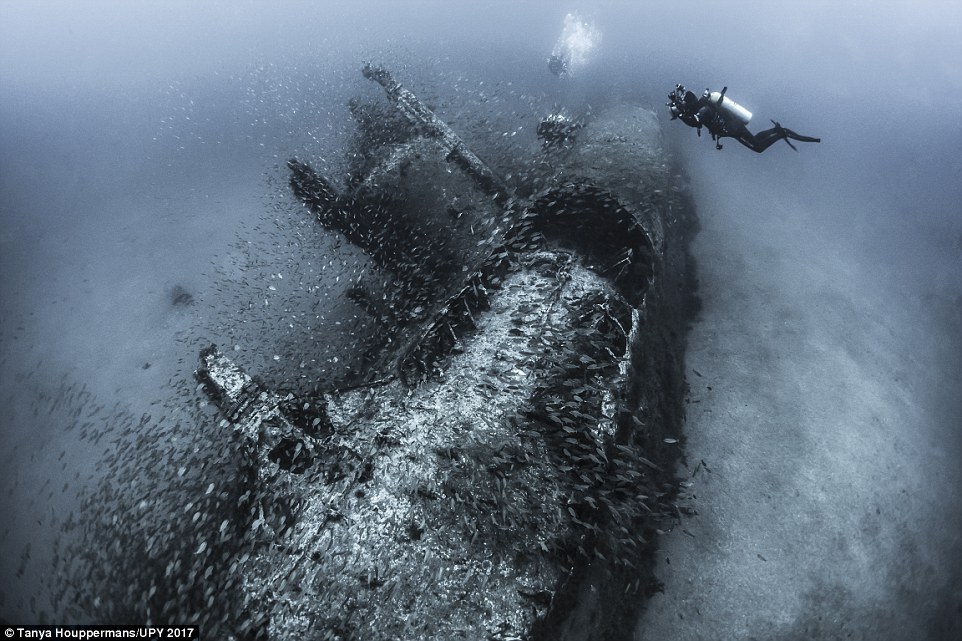 Затонувшая подводная лодка U-352