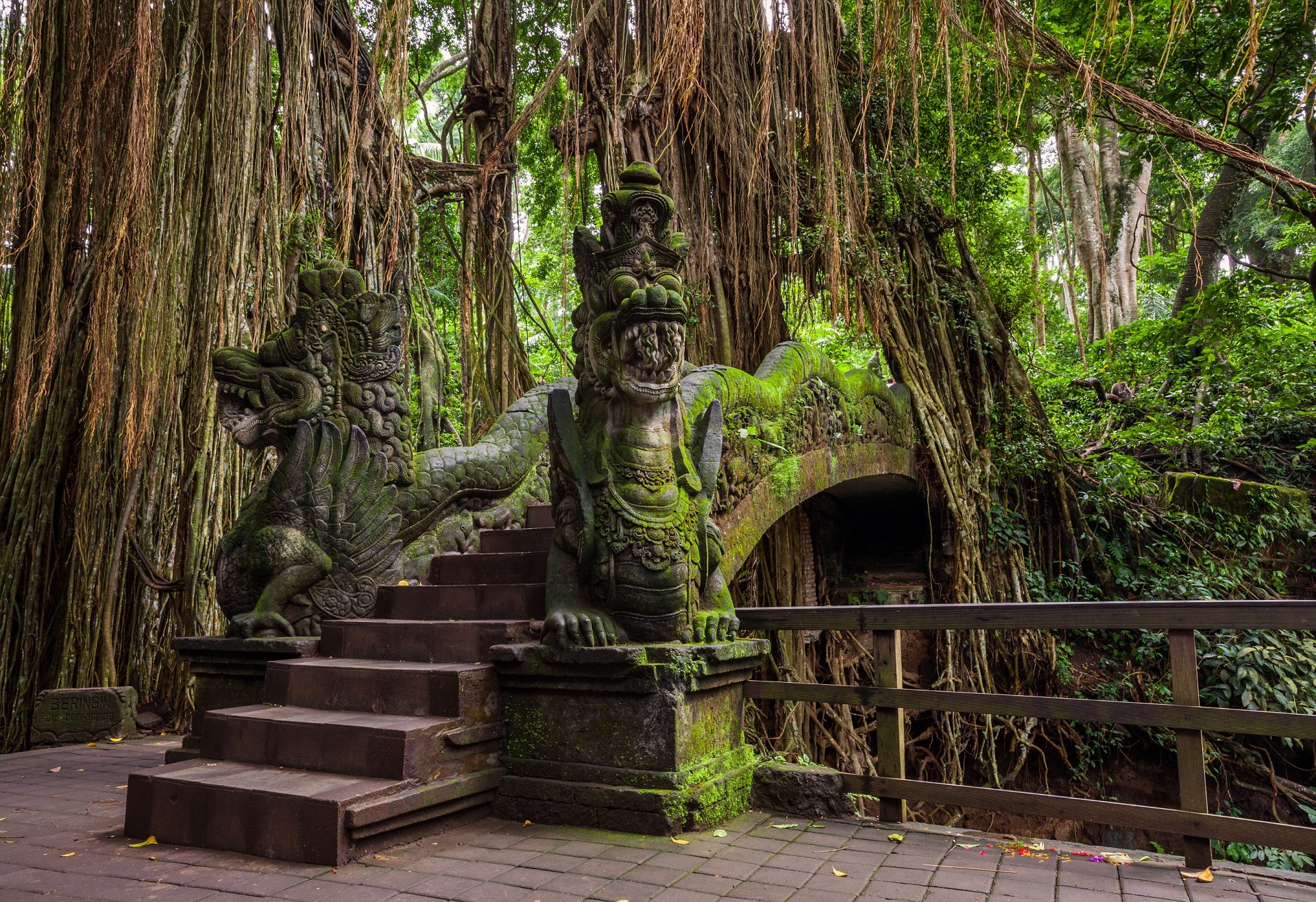 Лес обезьян в Убуде на Бали
