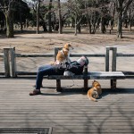 Сто лет одиночества в Токио: взгляд одного фотографа