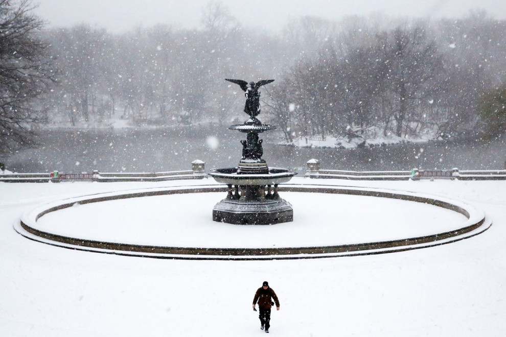 Снегопад в Центральном парке в Нью-Йорке