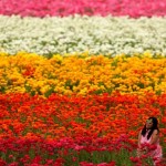 День весеннего равноденствия 2017: весна вступила в свои права