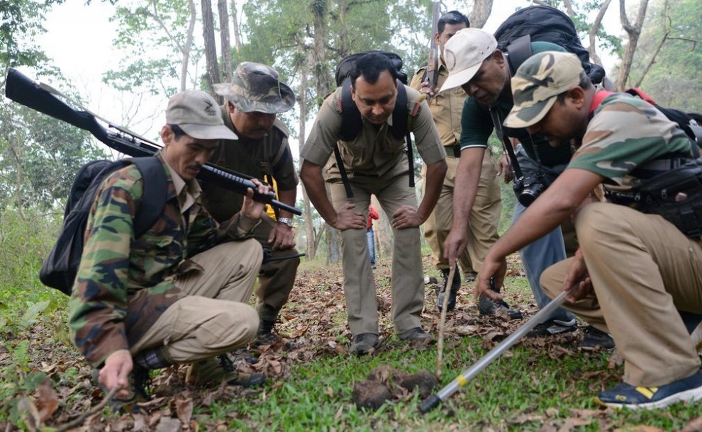 Работники лесного хозяйства Индии 