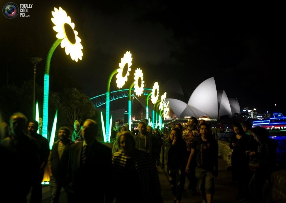 Фестиваль музыки и света Vivid Sydney