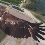 Лучшие аэрофотоснимки платформы Dronestagram в новой книге фотографий