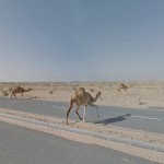 Виртуальная путешественница отыскивает необычные панорамы при помощи сервиса Google Street View